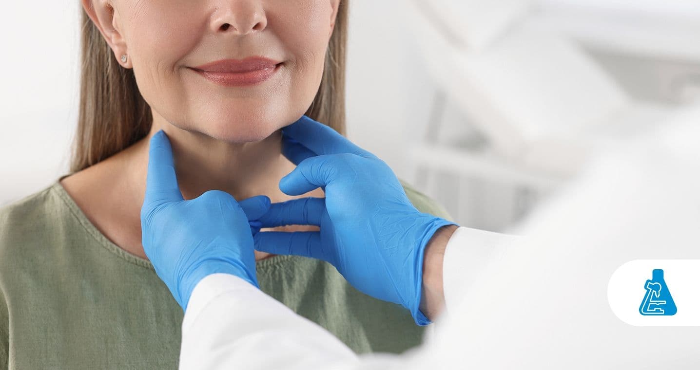 T4 livre (T4L) - 1436x760-compressed.jpg