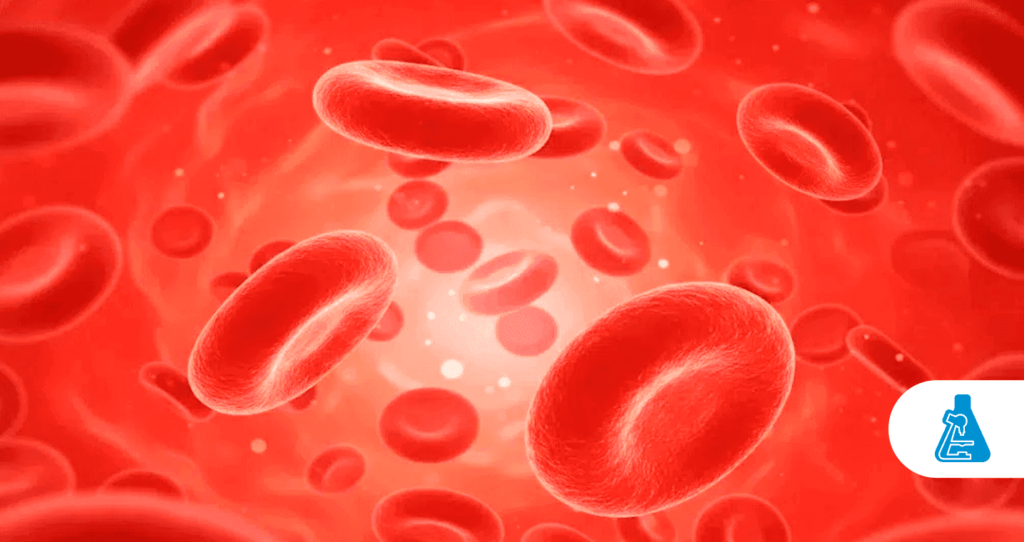 Conheça a importância da Ferritina e exames necessários para o acompanhamento - 1436x760.png