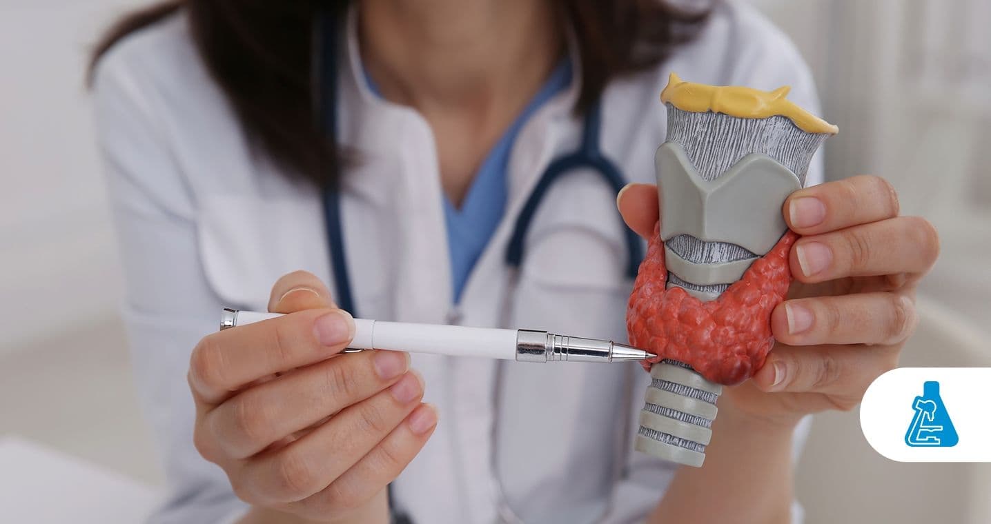 TSH (hormônio estimulador da tiroide) - 1436x760-compressed.jpg